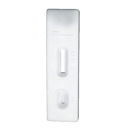 covid test kit